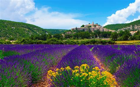 Construction Humaine Banon Fond d'écran | France wallpaper, Provence france, Exotic flowers