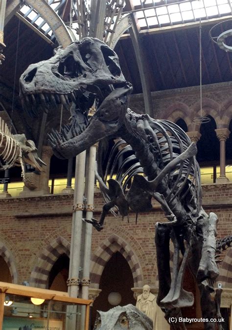 Family Days Out: Oxford University Museum of Natural History – Baby Routes