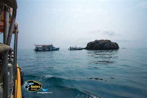 Diving Guide to Koh Phangan | Koh Phangan Online Magazine