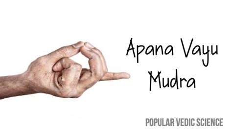 Apana Vayu Mudra: Benefits, Precautions, and How to Do It