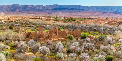 Rose Festival Morocco & the Valley of Roses - MarocMama