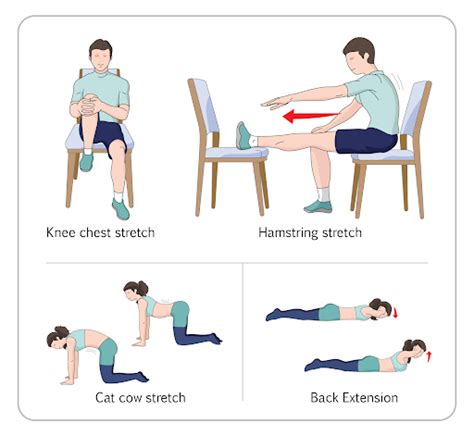 10 Degenerative Disc Disease Exercises You Can Try