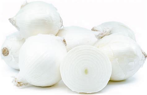 White Onions Information and Facts