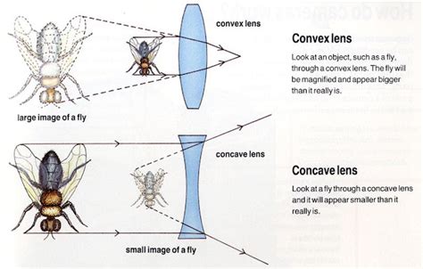 Karthi Blog: Convex Lens Vs Concave Lens