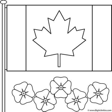 Canadian Flag with poppies - Coloring Page (Remembrance Day)