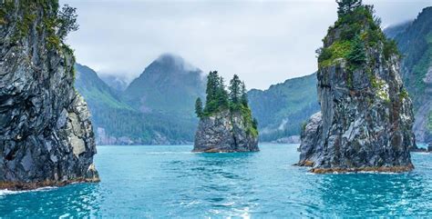 Visit Kenai Fjords National Park: Things to do, tours, directions ...