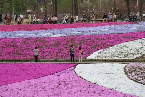 Discover Chichibu - A Unique Area Near Tokyo You Should Visit