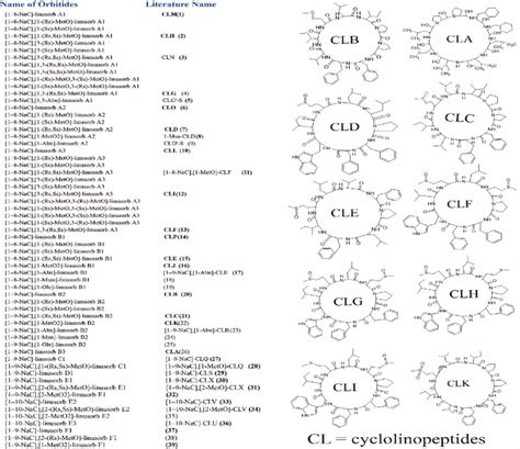 Profile and structure of LOs. | Download Scientific Diagram