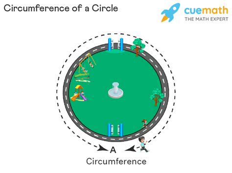 Arc Cd Is 1/4 of the Circumference of a Circle