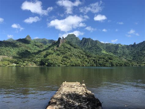 Opunohu Bay Moorea French Polynesia in May 2019. Nursery for Hammerhead Sharks. #travel #ttot # ...