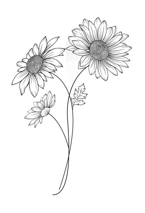 Daisy Flower Tattoo Outline