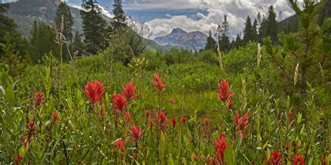 Hiking Into the Uinta Mountains - Outdoor Project