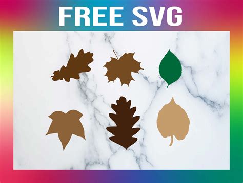 Free Leaf SVG Bundle