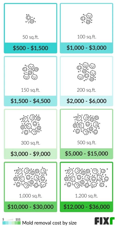 2023 Mold Remediation Cost | Mold Removal Cost | Fixr