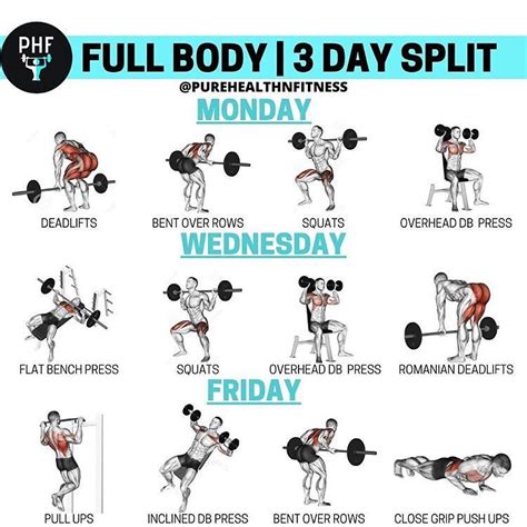 split day workout routine > OFF-57%