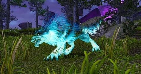 Karoma | Exotic pets, World of warcraft, Azeroth