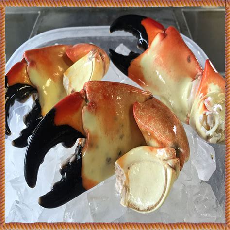 Jumbo FL Stone Crab (3 Claws per Ibs) – Florida Stone Crab