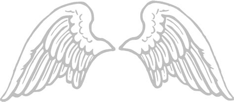 Angel Wings PNG Transparent Images, Pictures, Photos