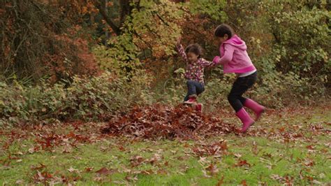 Two young girls in Fall jump into pile of leaves 2570699 Stock Video at Vecteezy