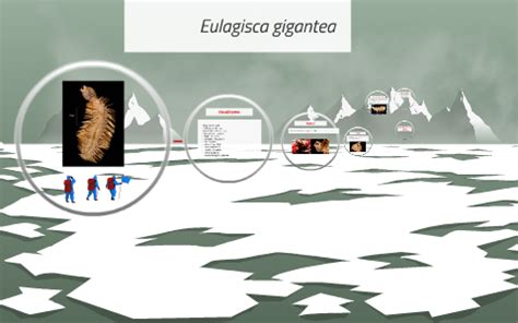 Eulagisca gigantea by Sarah Landers on Prezi