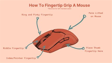 How To Fingertip Grip A Mouse: Explained - Switch and Click