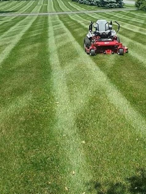 Lawn Care and Maintenance Services in South Jersey | Royal Landscapes