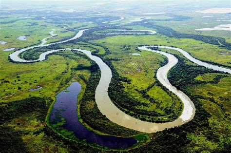 Plano de Ação da Reserva da Biosfera do Pantanal é apresentado em Cuiabá | Mato Grosso | G1