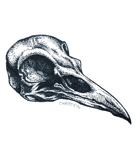 Raven skull 😊🐤 : r/drawing