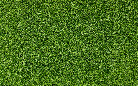 Green grass, grass, texture HD wallpaper | Wallpaper Flare