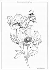 50 Botanical Coloring Pages Your Free Ticket To A Colorful Garden  sketch template