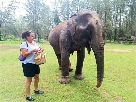 Nehmen Sie an einer privaten Khao Lak Safari Elephant Sanctuary ...