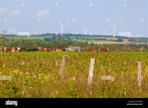 Enel wind farm hi-res stock photography and images - Alamy