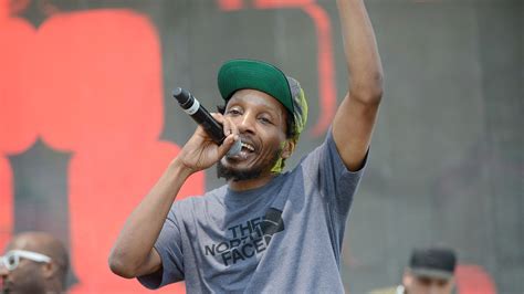 Del the Funky Homosapien Hospitalized After Falling During Gorillaz Set - Noisey