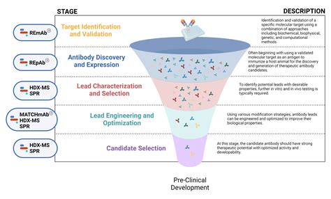 Antibody Drug Discovery - From Target ID to Candidate Selection