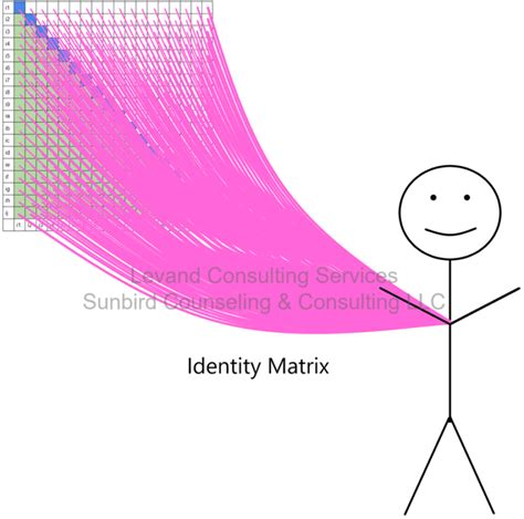 Identity Matrix | Mark Levand, Ph.D., CSE-S