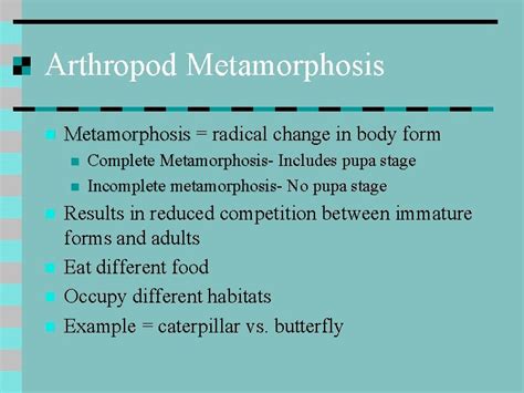 Phylum Arthropoda Phylum Arthropoda Facts n n Arthropods