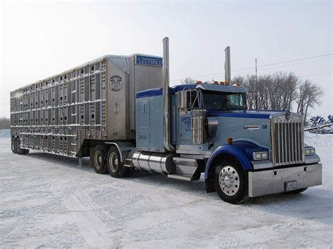 Image detail for -from 2003 a KENWORTH W900L with a cattle trailer. | Kenworth trucks, Cattle ...