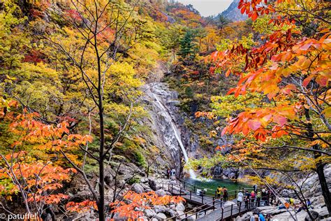 √ Seoraksan National Park Autumn - Popular Century