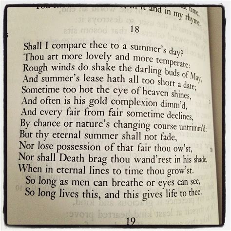 Shakespearean Sonnet #18 | Inspirational quotes, Words of wisdom, Words