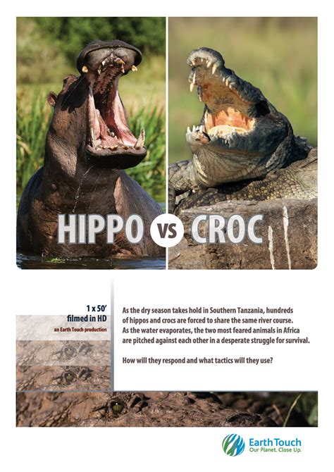 Hippo vs Croc (2014)