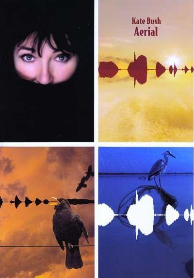 Kate Bush Aerial RARE promo collectible cards (set of 4) (in plastic sleeve) | Kate bush aerial ...