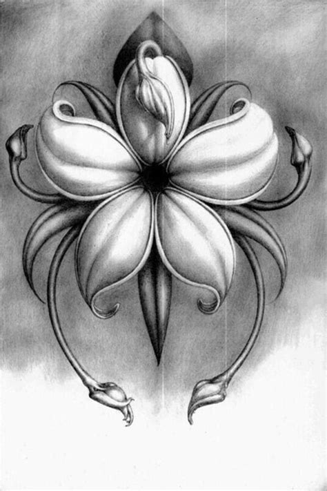 Cool Pencil Drawings Of Flowers