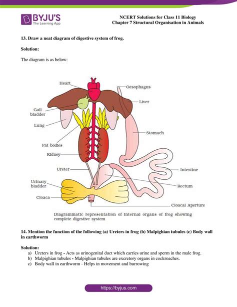 NCERT Solutions Class 11 Biology Chapter 7 Structural Organization in Animals