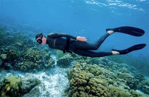 Your Essential Freediving Gear Guide - Underwater360