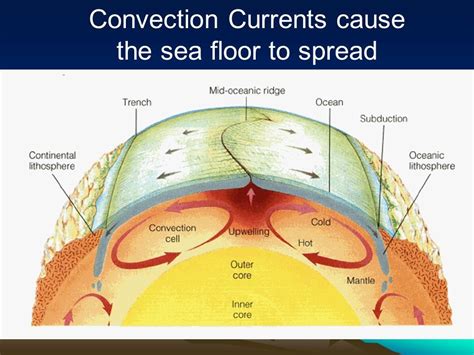 Convection Currents Diagram | Quizlet