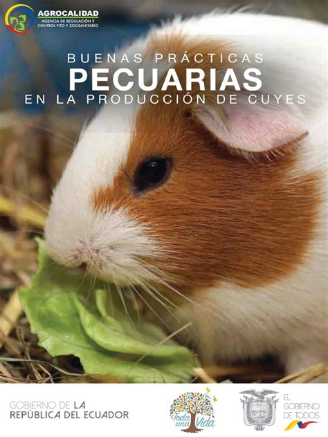 AGROCALIDAD. Guía de BPP en La Producción de Cuyes. Ecuador | PDF | Alimentos | Residuos