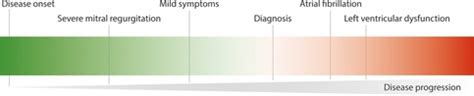 Frontiers | Microinvasive mitral valve surgery: Current status and ...