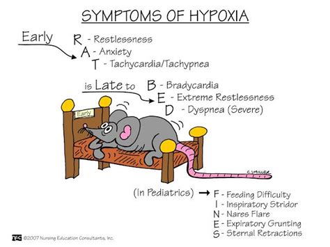 Symptoms of Hypoxia | Nursing mnemonics, Nursing school survival ...