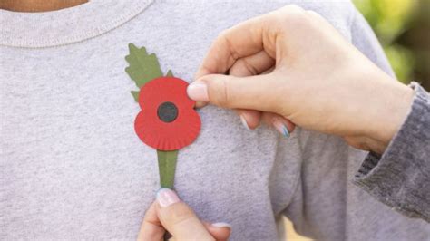 Remembrance Day poppy gets an eco makeover - BBC News