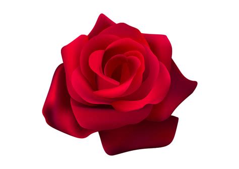 Rose Vector - free download - SuperAwesomeVectors